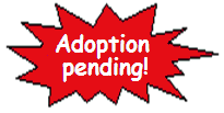 adoption pending