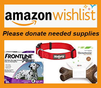 Donation Wishlist